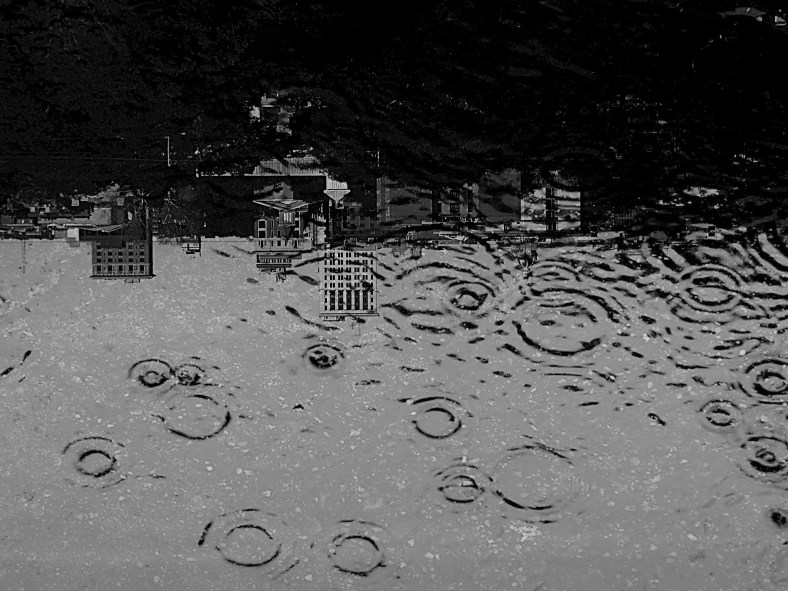 Savannah Skyline 2 reflection